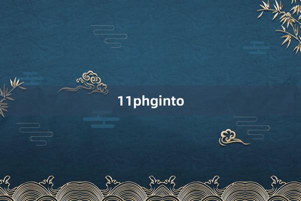 11phginto