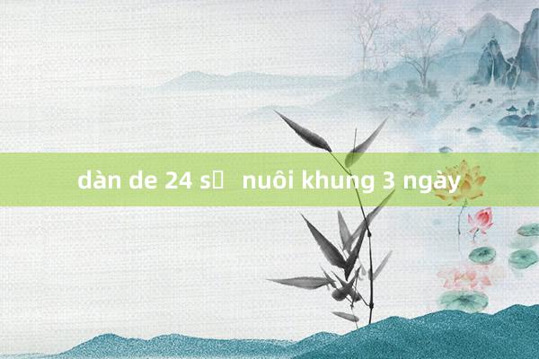 dàn de 24 số nuôi khung 3 ngày