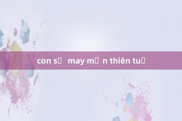 con số may mắn thiên tuệ