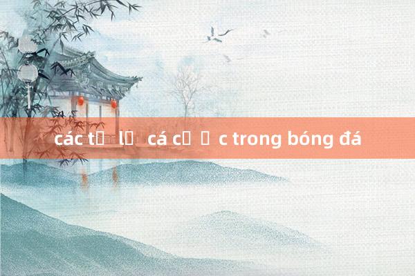 các tỷ lệ cá cược trong bóng đá