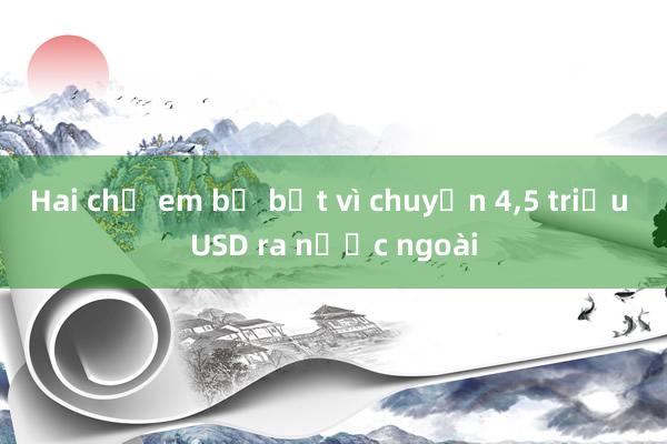 Hai chị em bị bắt vì chuyển 4,5 triệu USD ra nước ngoài