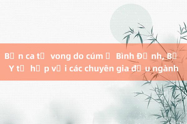 Bốn ca tử vong do cúm ở Bình Định， Bộ Y tế họp với các chuyên gia đầu ngành