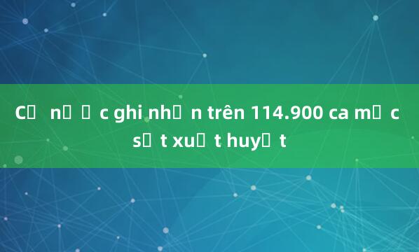 Cả nước ghi nhận trên 114.900 ca mắc sốt xuất huyết