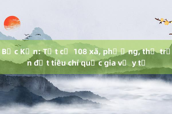 Bắc Kạn: Tất cả 108 xã, phường, thị trấn đạt tiêu chí quốc gia về y tế