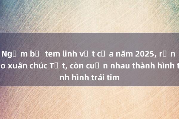 Ngắm bộ tem linh vật của năm 2025， rắn mặc áo xuân chúc Tết， còn cuốn nhau thành hình trái tim