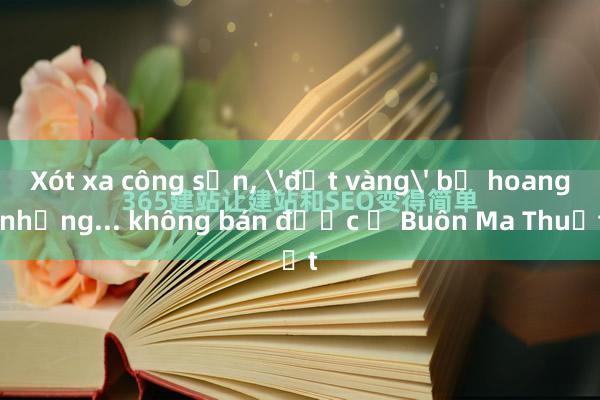 Xót xa công sản, 'đất vàng' bỏ hoang nhưng... không bán được ở Buôn Ma Thuột