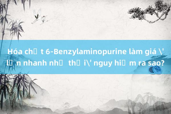 Hóa chất 6-Benzylaminopurine làm giá 'lớn nhanh như thổi' nguy hiểm ra sao?