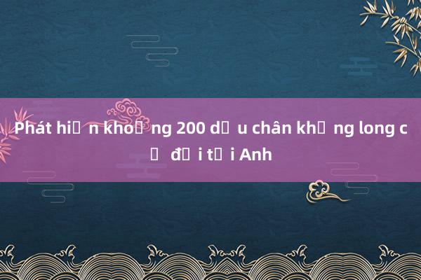 Phát hiện khoảng 200 dấu chân khủng long cổ đại tại Anh